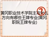 黄冈职业技术学院主攻什么方向有哪些王牌专业(黄冈职院王牌专业)