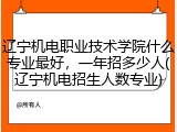 辽宁机电职业技术学院什么专业最好，一年招多少人(辽宁机电招生人数专业)
