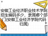 安徽工业经济职业技术学院招生编码多少，隶属哪个部门(安徽工业经济学院代码归属)