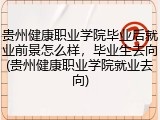 贵州健康职业学院毕业后就业前景怎么样，毕业生去向(贵州健康职业学院就业去向)