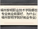 福州黎明职业技术学院哪些专业就业前景好，为什么(福州黎明学院好就业专业)
