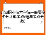 硅湖职业技术学院一般要多少分才能录取(硅湖录取分数)