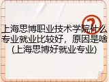 上海思博职业技术学院什么专业就业比较好，原因是啥(上海思博好就业专业)