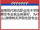 湖南现代物流职业技术学院哪些专业就业前景好，为什么(湖南物流学院优势专业)