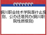 铜川职业技术学院是什么级别，公办还是民办(铜川职院性质级别)
