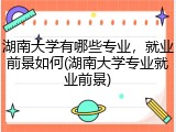 湖南大学有哪些专业，就业前景如何(湖南大学专业就业前景)