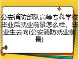 公安消防部队高等专科学校毕业后就业前景怎么样，毕业生去向(公安消防就业前景)