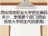 西安信息职业大学招生编码多少，隶属哪个部门(西安信息大学招生代码隶属)