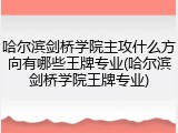 哈尔滨剑桥学院主攻什么方向有哪些王牌专业(哈尔滨剑桥学院王牌专业)