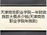 天津商务职业学院一年财政拨款大概多少钱(天津商务职业学院年拨款)