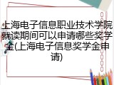 上海电子信息职业技术学院就读期间可以申请哪些奖学金(上海电子信息奖学金申请)