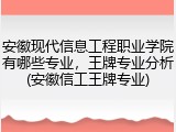 安徽现代信息工程职业学院有哪些专业，王牌专业分析(安徽信工王牌专业)