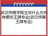 武汉传媒学院主攻什么方向有哪些王牌专业(武汉传媒王牌专业)