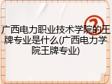 广西电力职业技术学院的王牌专业是什么(广西电力学院王牌专业)