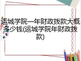 运城学院一年财政拨款大概多少钱(运城学院年财政拨款)