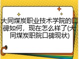 大同煤炭职业技术学院的口碑如何，现在怎么样了(大同煤炭职院口碑现状)