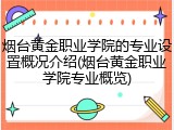 烟台黄金职业学院的专业设置概况介绍(烟台黄金职业学院专业概览)