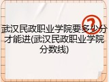 武汉民政职业学院要多少分才能进(武汉民政职业学院分数线)