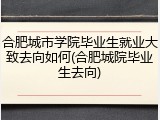 合肥城市学院毕业生就业大致去向如何(合肥城院毕业生去向)