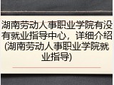 湖南劳动人事职业学院有没有就业指导中心，详细介绍(湖南劳动人事职业学院就业指导)