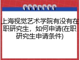 上海视觉艺术学院有没有在职研究生，如何申请(在职研究生申请条件)