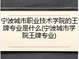 宁波城市职业技术学院的王牌专业是什么(宁波城市学院王牌专业)