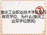 重庆工业职业技术学院是否有双学位，为什么(重庆工业双学位原因)