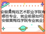 安徽黄梅戏艺术职业学院有哪些专业，就业前景如何(安徽黄梅戏学院专业就业)