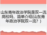 山东青年政治学院是双一流高校吗，简单介绍(山东青年政治学院双一流？)