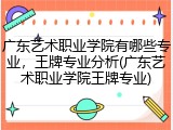 广东艺术职业学院有哪些专业，王牌专业分析(广东艺术职业学院王牌专业)