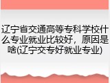 辽宁省交通高等专科学校什么专业就业比较好，原因是啥(辽宁交专好就业专业)
