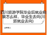 四川旅游学院毕业后就业前景怎么样，毕业生去向(川旅就业去向)