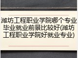 潍坊工程职业学院哪个专业毕业就业前景比较好(潍坊工程职业学院好就业专业)