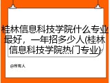 桂林信息科技学院什么专业最好，一年招多少人(桂林信息科技学院热门专业)