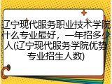 辽宁现代服务职业技术学院什么专业最好，一年招多少人(辽宁现代服务学院优势专业招生人数)