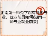 湖南第一师范学院有哪些专业，就业前景如何(湖南一师专业就业前景)