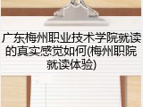 广东梅州职业技术学院就读的真实感觉如何(梅州职院就读体验)