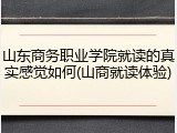 山东商务职业学院就读的真实感觉如何(山商就读体验)