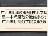 广西国际商务职业技术学院是一本吗录取分数线多少(广西国际商务学院录取线)