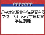 辽宁建筑职业学院是否有双学位，为什么(辽宁建院双学位原因)