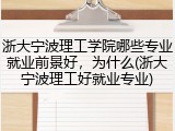 浙大宁波理工学院哪些专业就业前景好，为什么(浙大宁波理工好就业专业)