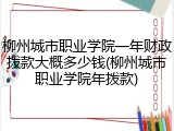 柳州城市职业学院一年财政拨款大概多少钱(柳州城市职业学院年拨款)