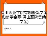 保山职业学院有哪些奖学金和助学金呢(保山职院奖助学金)