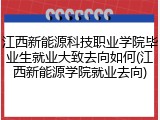 江西新能源科技职业学院毕业生就业大致去向如何(江西新能源学院就业去向)