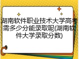 湖南软件职业技术大学高考需多少分能录取呢(湖南软件大学录取分数)
