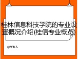 桂林信息科技学院的专业设置概况介绍(桂信专业概览)