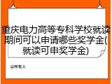 重庆电力高等专科学校就读期间可以申请哪些奖学金(就读可申奖学金)