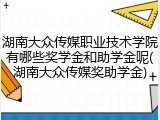 湖南大众传媒职业技术学院有哪些奖学金和助学金呢(湖南大众传媒奖助学金)