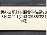 民办合肥财经职业学院是985还是211(合财是985或211吗)