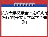 长安大学奖学金评定细则是怎样的(长安大学奖学金细则)